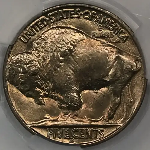 1938-D Buffalo 5c (5)