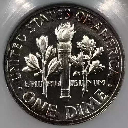 1955   (5)