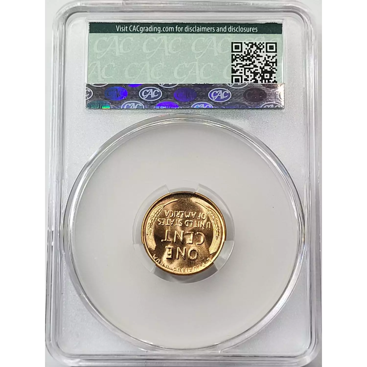 1956-D Lincoln Wheat Cent CACG MS 66 RD CAC - Old Pueblo Coin