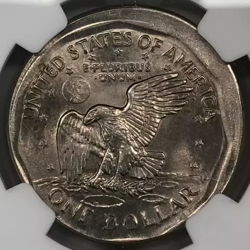 1979 BROADSTRUCK  (5)