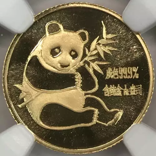 1982 GOLD PANDA  (4)