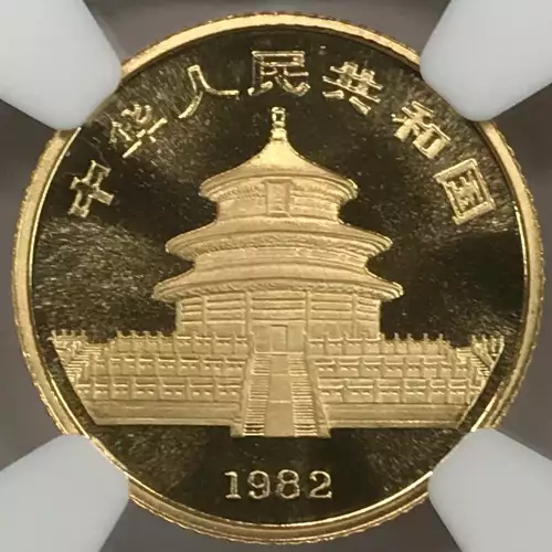 1982 GOLD PANDA  (3)