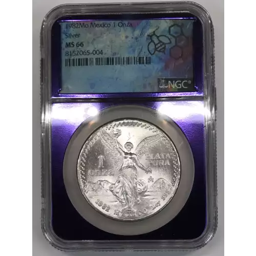 1982Mo Silver  (2)