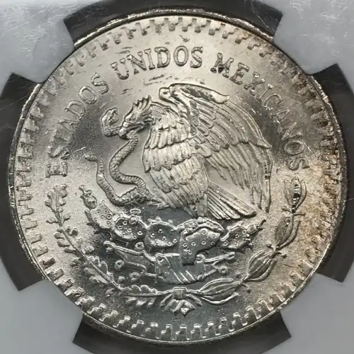 1982Mo SILVER DOUBLED DIE REVERSE #1 (4)