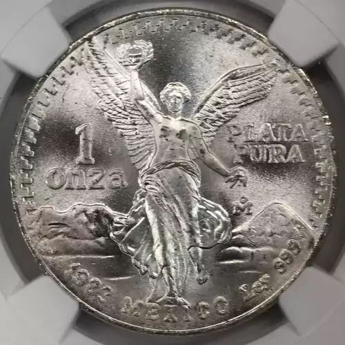 1983Mo Silver  (2)