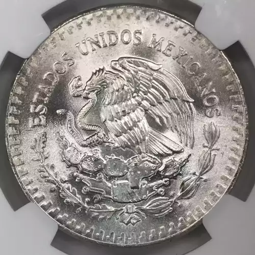 1983Mo Silver  (3)