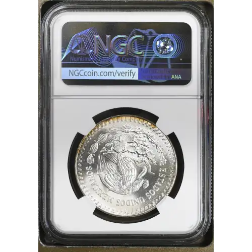 1984Mo Silver (3)