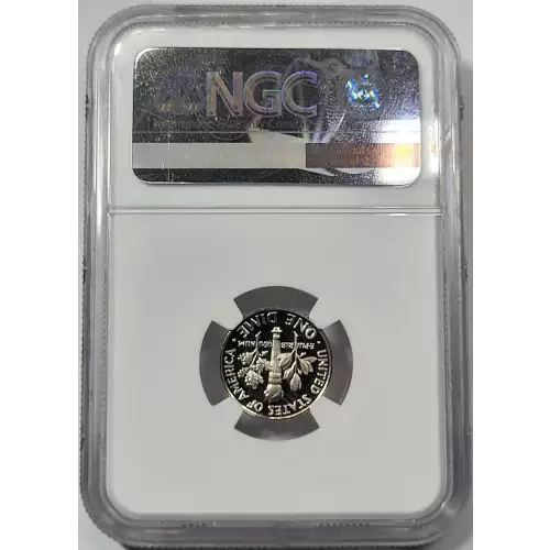 1987  ULTRA CAMEO (4)