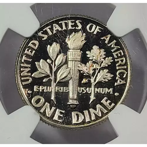 1987  ULTRA CAMEO