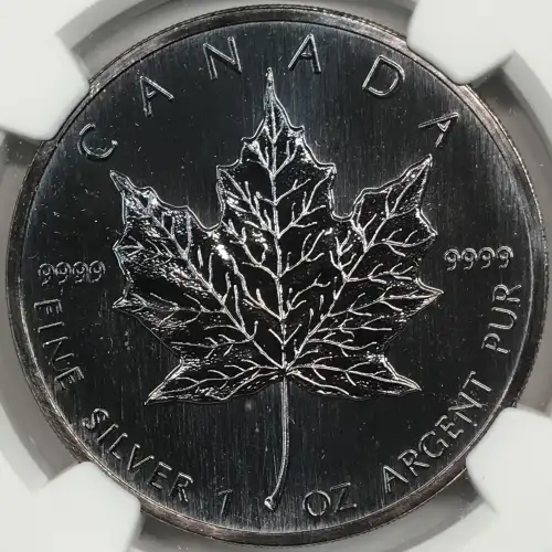 1988 MAPLE LEAF (4)