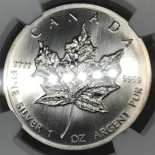 1989 MAPLE LEAF (5)