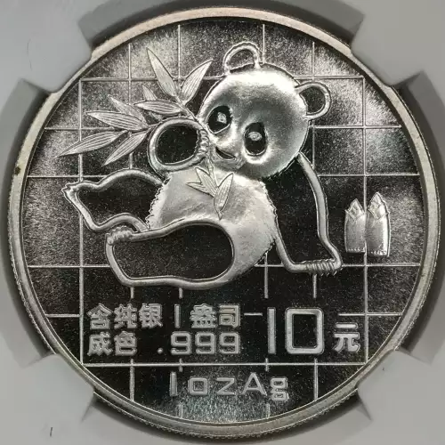 1989 Panda  (3)