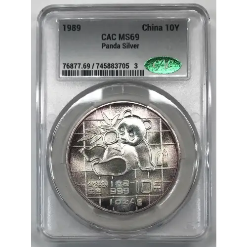 1989 Panda Silver China 10Y (5)