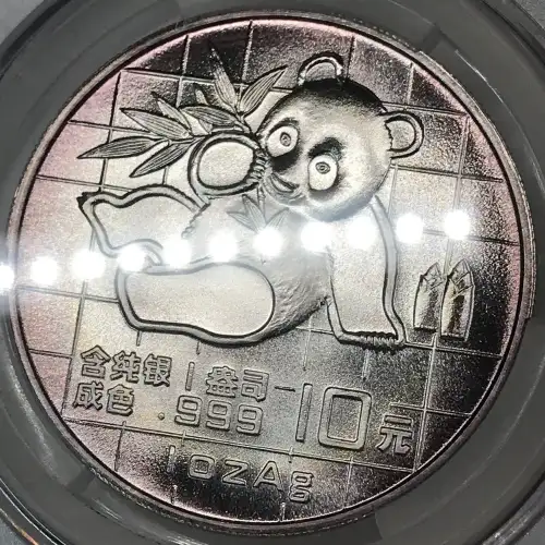 1989 Panda Silver China 10Y (3)