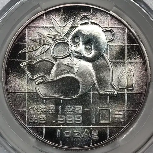 1989 Panda Silver China 10Y (4)