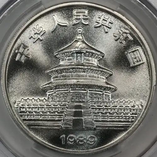1989 Panda Silver China 10Y (2)
