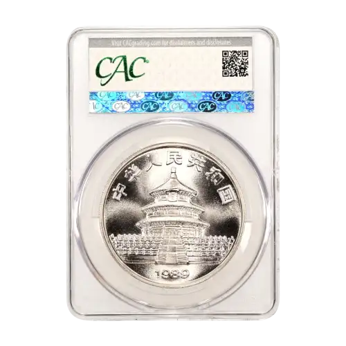 1989 Panda Silver China 10Y (5)