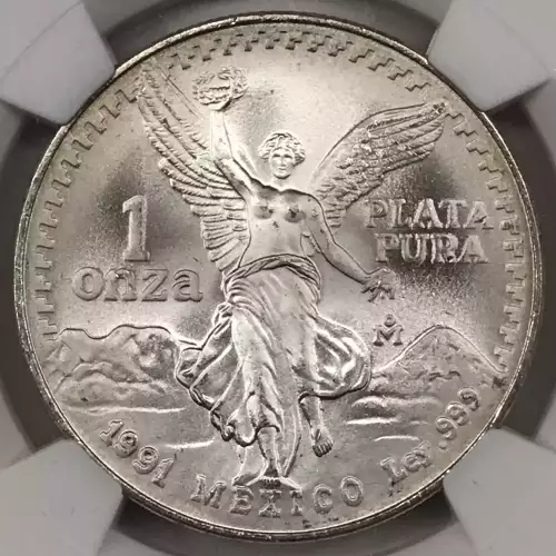 1991Mo SILVER - LARGE ONZA (3)