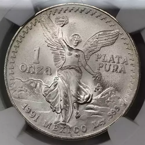 1991Mo SILVER - LARGE ONZA (4)