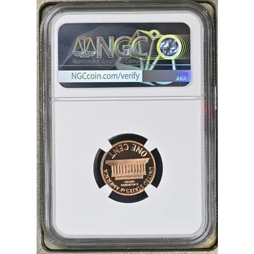 1992  RD ULTRA CAMEO (3)