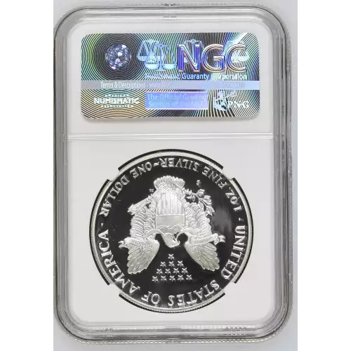 1992 S  ULTRA CAMEO (3)