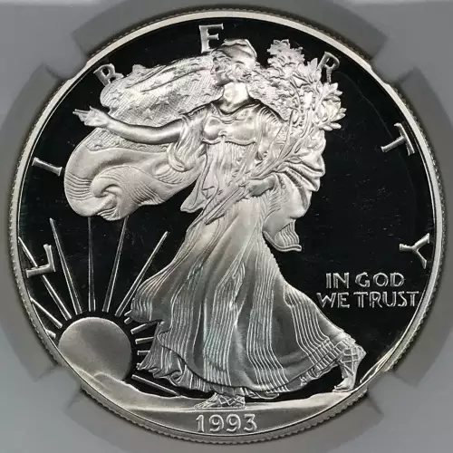 1993 P  ULTRA CAMEO (4)