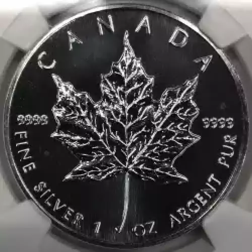 1994 MAPLE LEAF  (2)