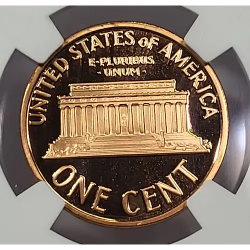 1995  RD ULTRA CAMEO (3)