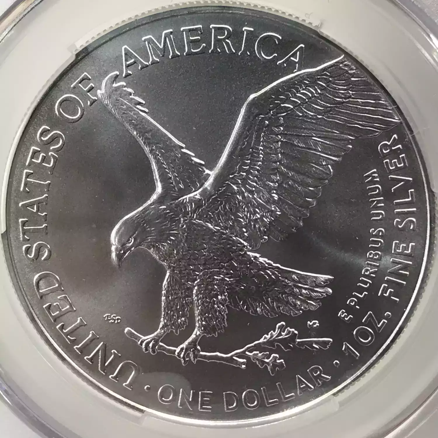 2024 Silver Eagle CACG MS 70 Paul Nugget Signature First Delivery