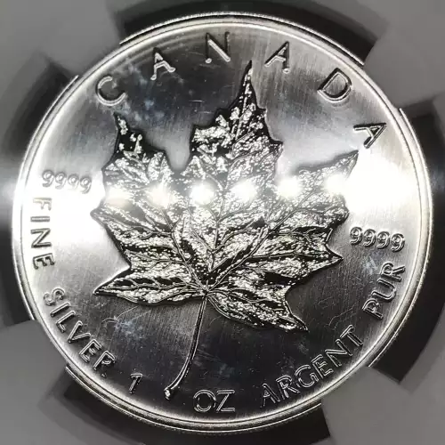 1997 MAPLE LEAF  (4)
