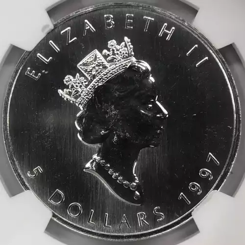 1997 MAPLE LEAF  (3)