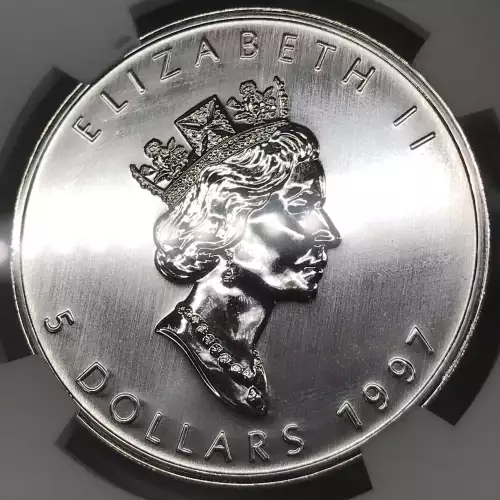1997 MAPLE LEAF  (5)