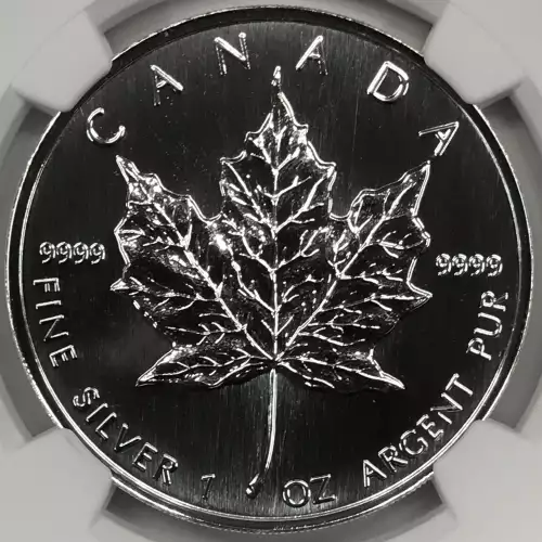 1997 MAPLE LEAF  (3)