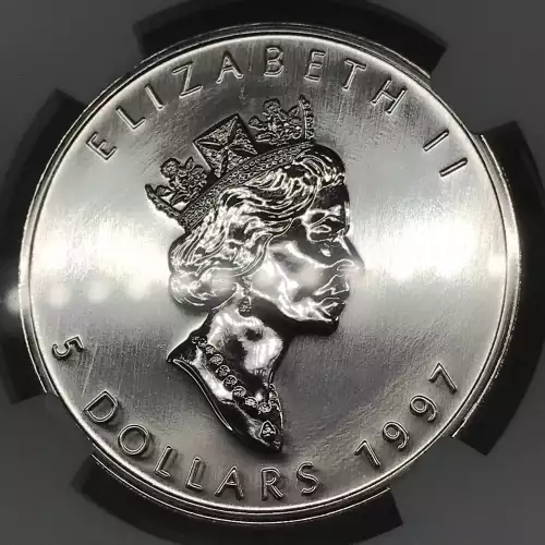 1997 MAPLE LEAF  (5)