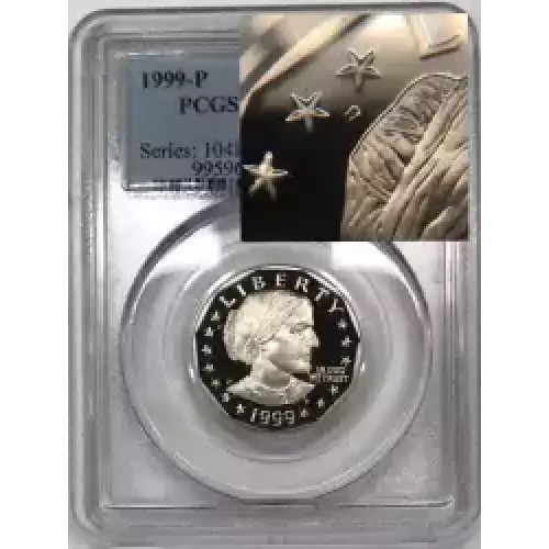 1999-P SBA$1, DCAM