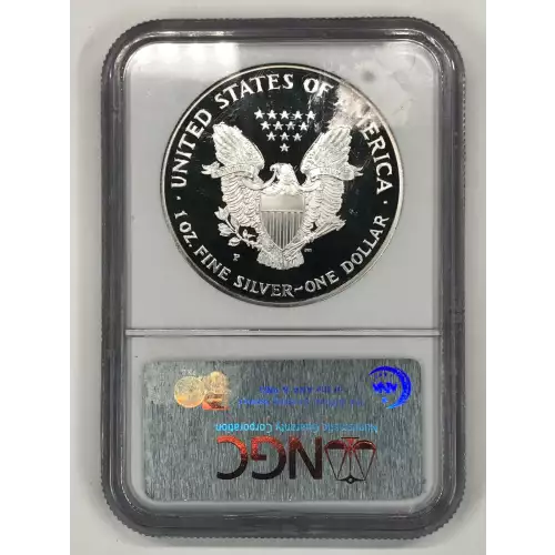 1999 P  ULTRA CAMEO (2)