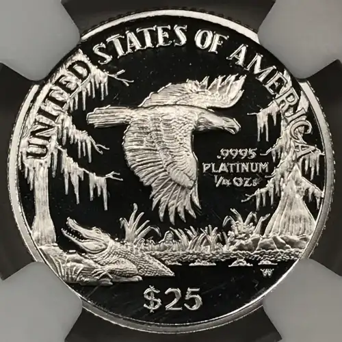 1999 W  ULTRA CAMEO (2)