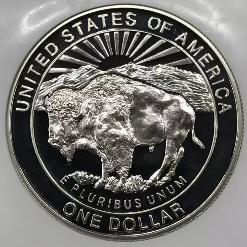 1999 YELLOWSTONE ULTRA CAMEO (2)