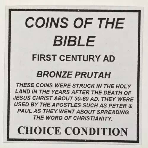 1st Century AD Bronze Prutah - Coins of the Bible (3)