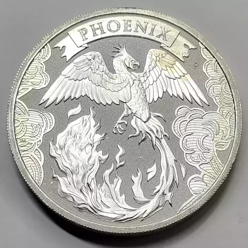 2 oz Silver (COIN)