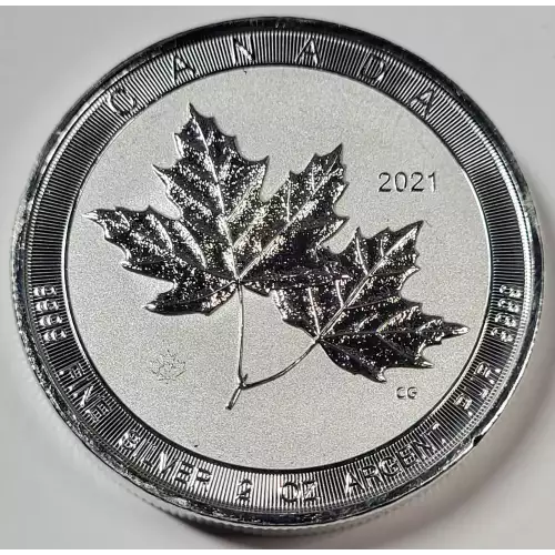 2 oz Silver (COIN)