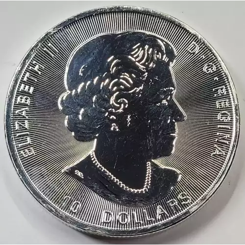 2 oz Silver (COIN) (2)