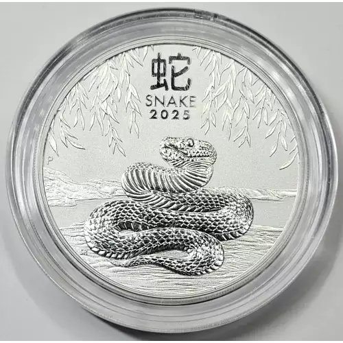 2 oz Silver (COIN)