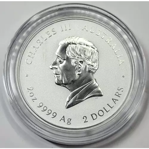 2 oz Silver (COIN) (2)