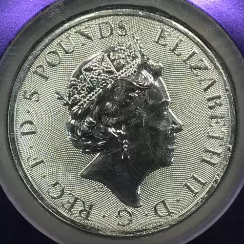 2 oz Silver (COIN) (3)