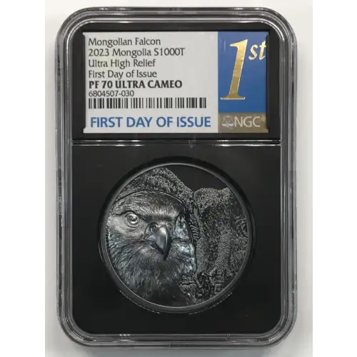 2 oz Silver (COIN)
