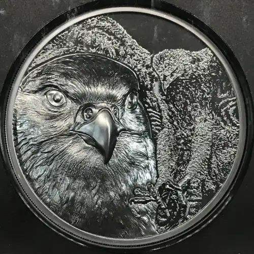 2 oz Silver (COIN) (2)