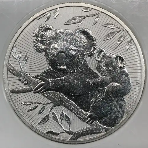 2 oz Silver (COIN) (4)