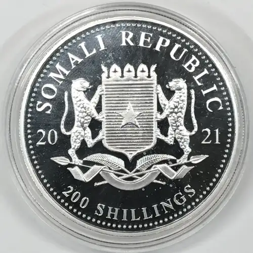 2 oz Silver (COIN) (2)