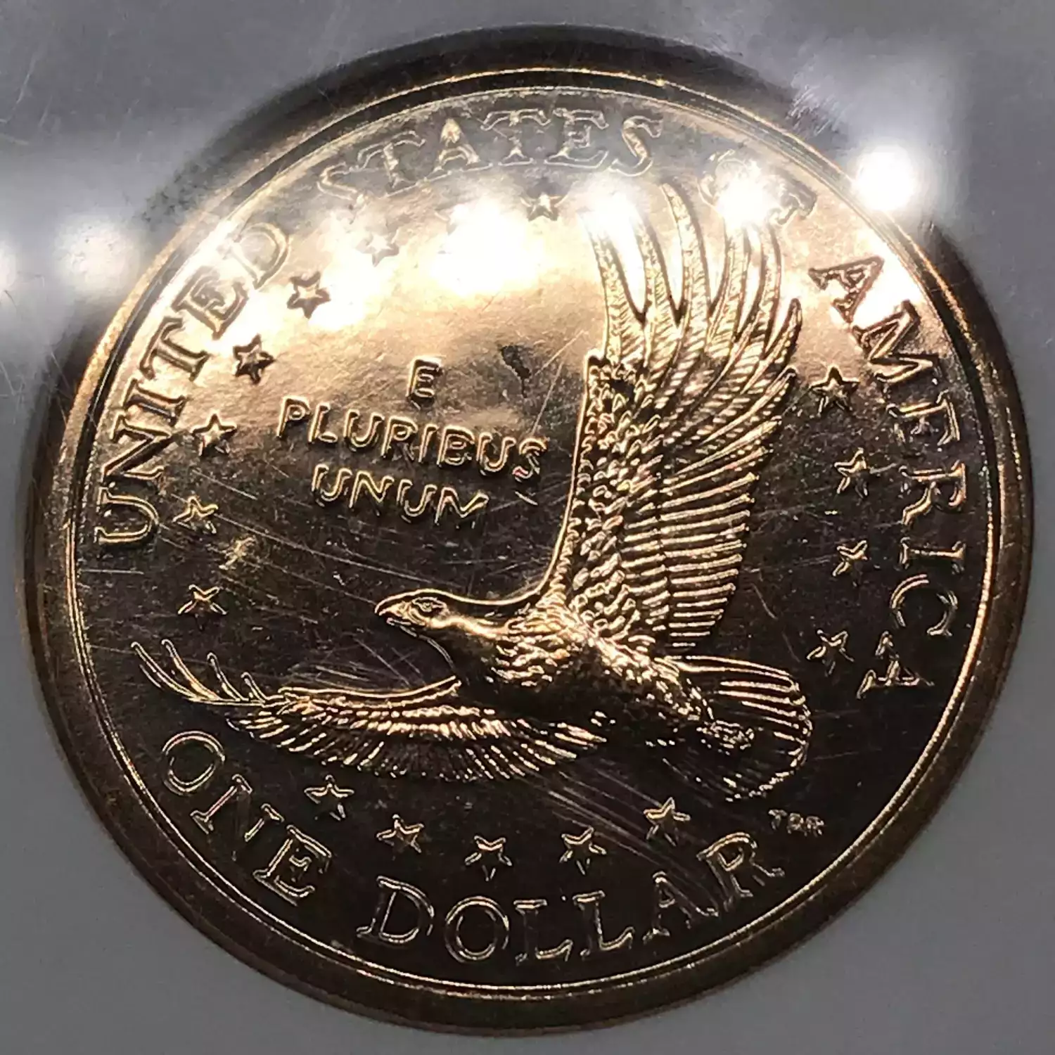 2000-D Sacagawea Dollar NGC MS-66 PL MILLENNIUM SET - Old Pueblo Coin